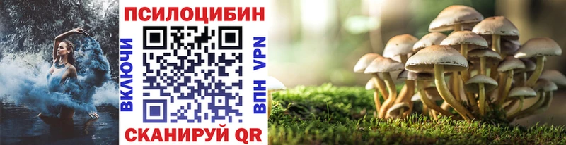 Купить закладки  Знаменск  Галлюциногенные грибы Magic Shrooms 